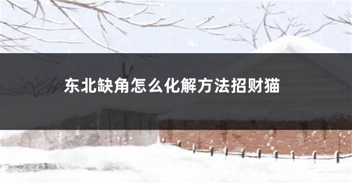 东北缺角怎么化解方法招财猫