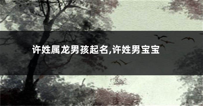 许姓属龙男孩起名,许姓男宝宝