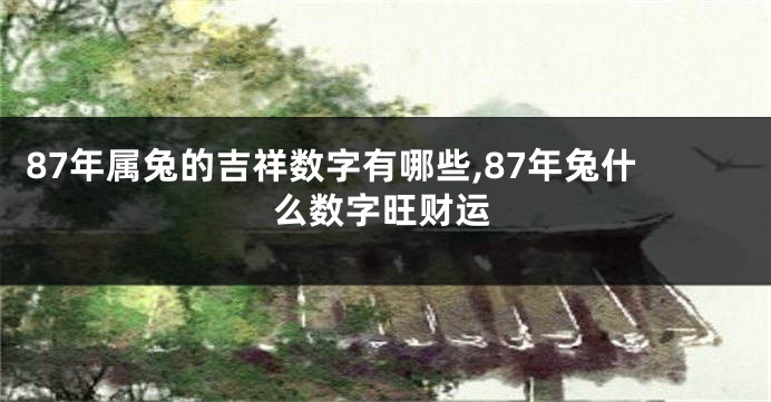 87年属兔的吉祥数字有哪些,87年兔什么数字旺财运