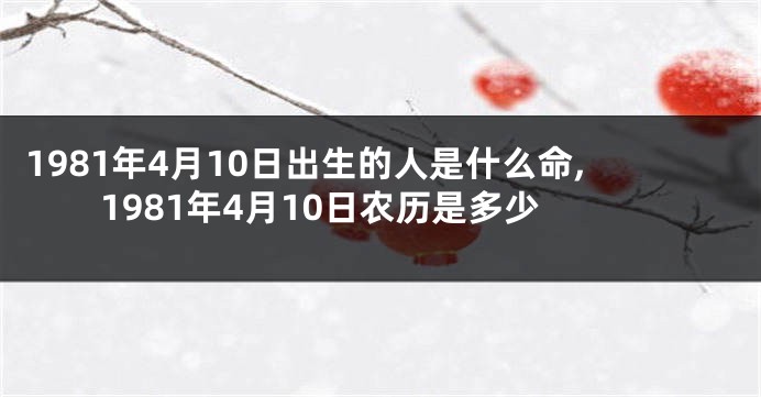 1981年4月10日出生的人是什么命,1981年4月10日农历是多少