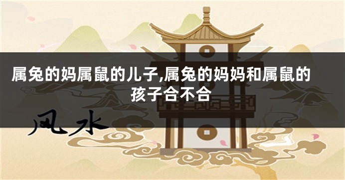 属兔的妈属鼠的儿子,属兔的妈妈和属鼠的孩子合不合