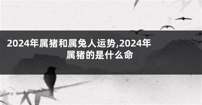2024年属猪和属兔人运势,2024年属猪的是什么命