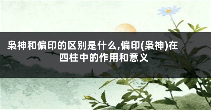 枭神和偏印的区别是什么,偏印(枭神)在四柱中的作用和意义