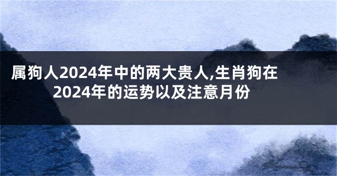属狗人2024年中的两大贵人,生肖狗在2024年的运势以及注意月份