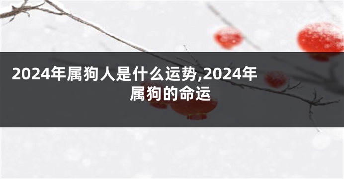 2024年属狗人是什么运势,2024年属狗的命运