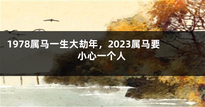 1978属马一生大劫年，2023属马要小心一个人