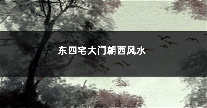 东四宅大门朝西风水