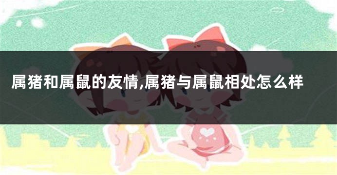 属猪和属鼠的友情,属猪与属鼠相处怎么样