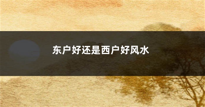 东户好还是西户好风水