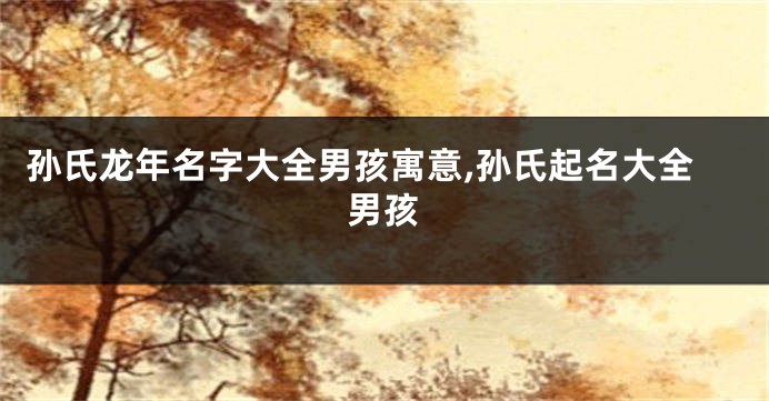 孙氏龙年名字大全男孩寓意,孙氏起名大全男孩