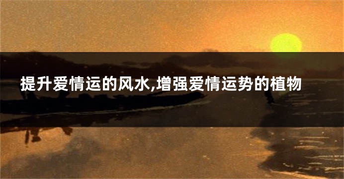 提升爱情运的风水,增强爱情运势的植物
