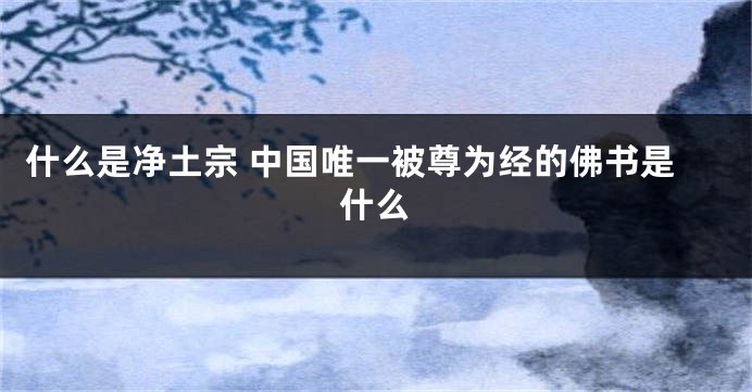 什么是净土宗 中国唯一被尊为经的佛书是什么