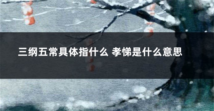 三纲五常具体指什么 孝悌是什么意思