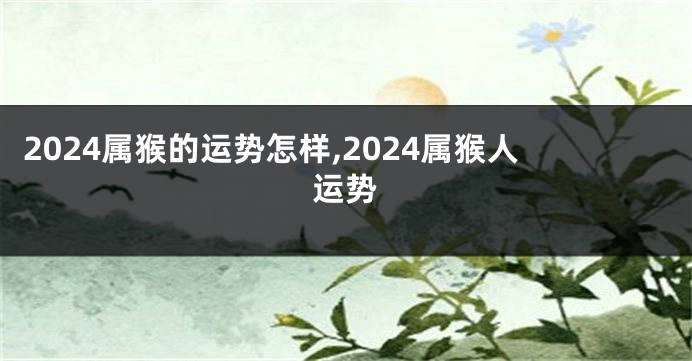 2024属猴的运势怎样,2024属猴人运势