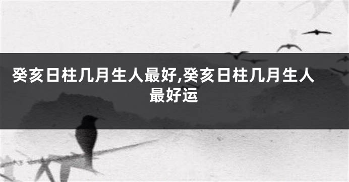 癸亥日柱几月生人最好,癸亥日柱几月生人最好运