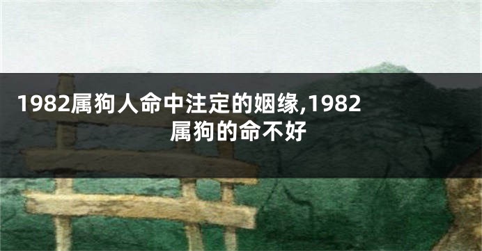 1982属狗人命中注定的姻缘,1982属狗的命不好