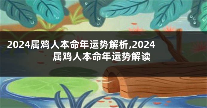 2024属鸡人本命年运势解析,2024属鸡人本命年运势解读