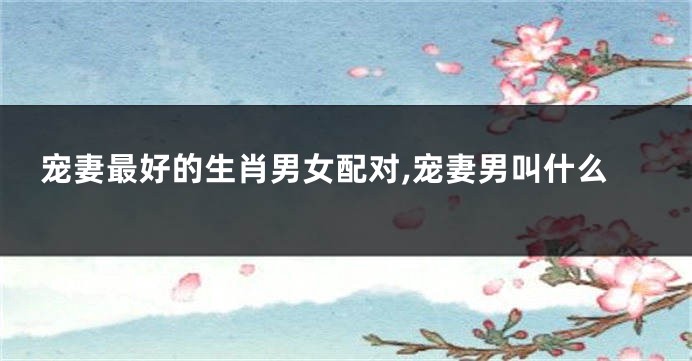 宠妻最好的生肖男女配对,宠妻男叫什么