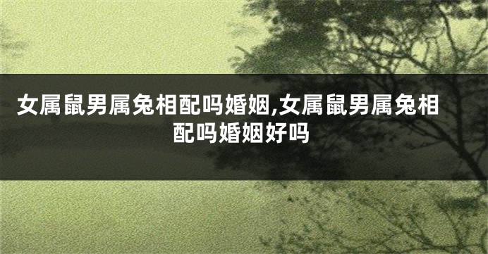女属鼠男属兔相配吗婚姻,女属鼠男属兔相配吗婚姻好吗