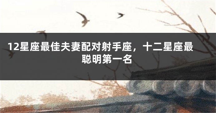 12星座最佳夫妻配对射手座，十二星座最聪明第一名