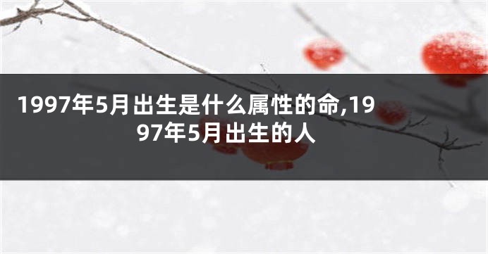 1997年5月出生是什么属性的命,1997年5月出生的人