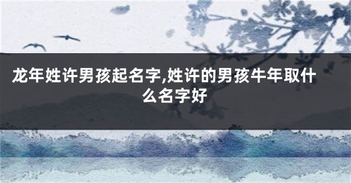 龙年姓许男孩起名字,姓许的男孩牛年取什么名字好