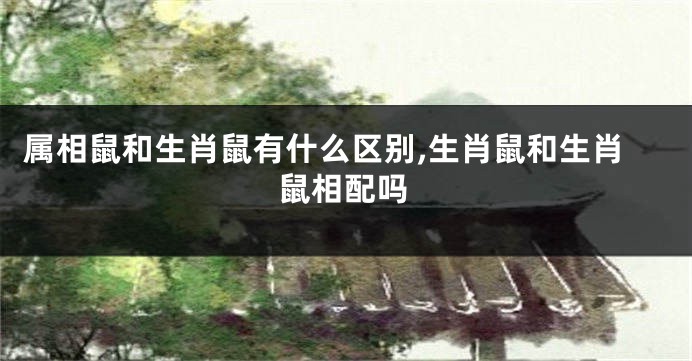 属相鼠和生肖鼠有什么区别,生肖鼠和生肖鼠相配吗