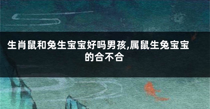 生肖鼠和兔生宝宝好吗男孩,属鼠生兔宝宝的合不合
