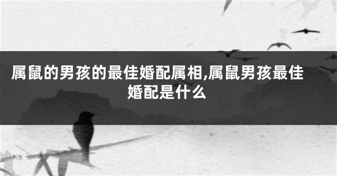 属鼠的男孩的最佳婚配属相,属鼠男孩最佳婚配是什么