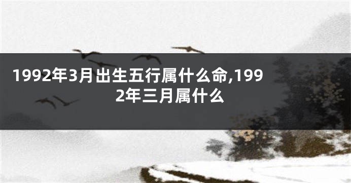 1992年3月出生五行属什么命,1992年三月属什么