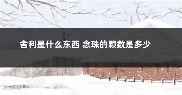 舍利是什么东西 念珠的颗数是多少