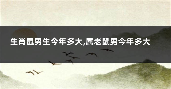 生肖鼠男生今年多大,属老鼠男今年多大
