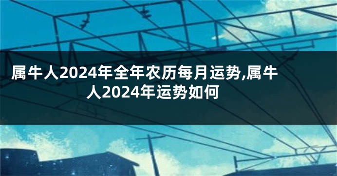 属牛人2024年全年农历每月运势,属牛人2024年运势如何