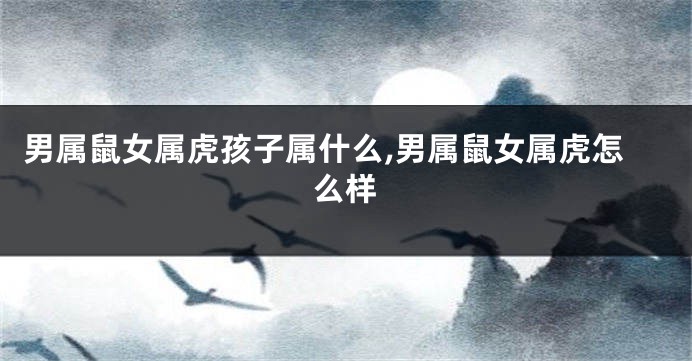 男属鼠女属虎孩子属什么,男属鼠女属虎怎么样