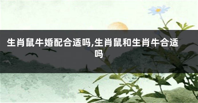 生肖鼠牛婚配合适吗,生肖鼠和生肖牛合适吗