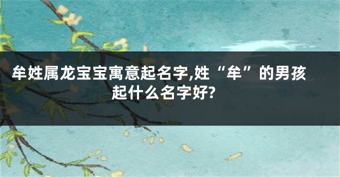 牟姓属龙宝宝寓意起名字,姓“牟”的男孩起什么名字好?