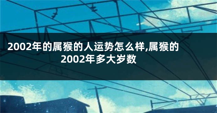 2002年的属猴的人运势怎么样,属猴的2002年多大岁数