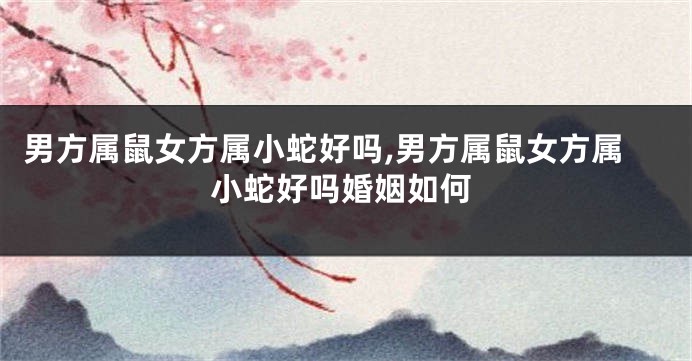 男方属鼠女方属小蛇好吗,男方属鼠女方属小蛇好吗婚姻如何