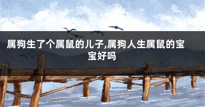 属狗生了个属鼠的儿子,属狗人生属鼠的宝宝好吗
