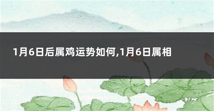 1月6日后属鸡运势如何,1月6日属相