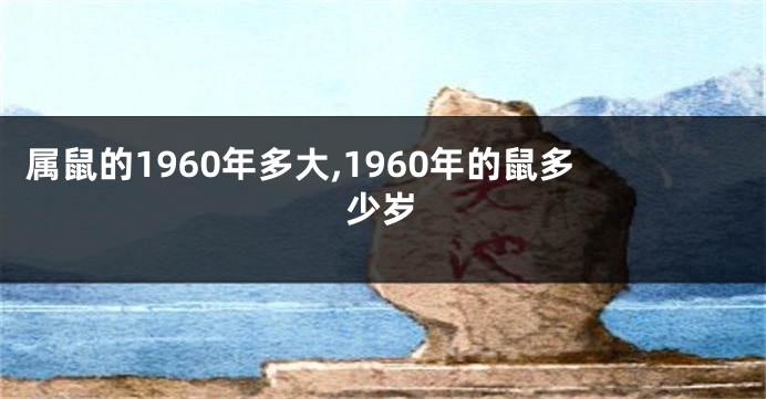 属鼠的1960年多大,1960年的鼠多少岁