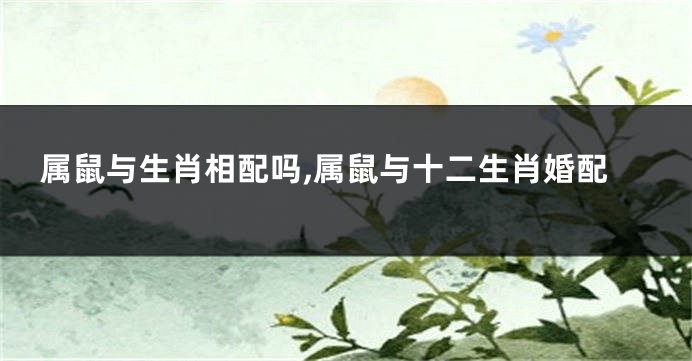 属鼠与生肖相配吗,属鼠与十二生肖婚配