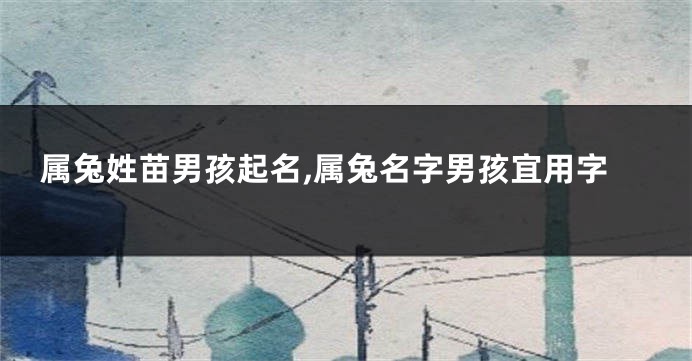 属兔姓苗男孩起名,属兔名字男孩宜用字