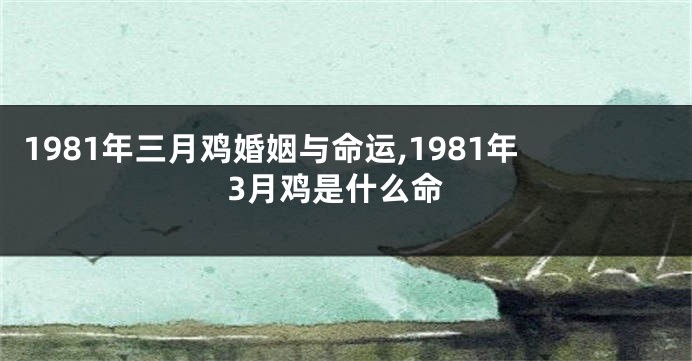 1981年三月鸡婚姻与命运,1981年3月鸡是什么命