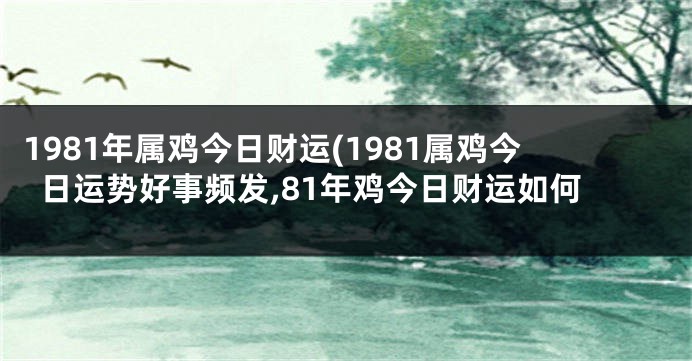 1981年属鸡今日财运(1981属鸡今日运势好事频发,81年鸡今日财运如何