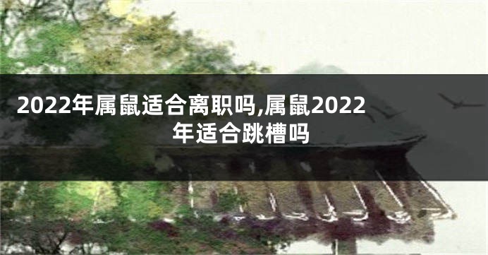 2022年属鼠适合离职吗,属鼠2022年适合跳槽吗