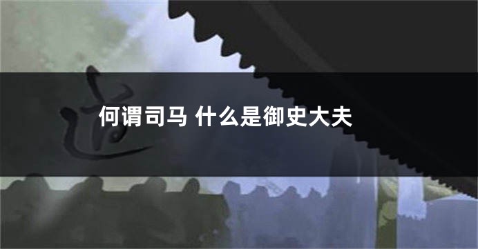 何谓司马 什么是御史大夫