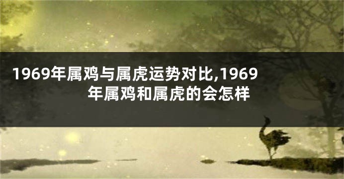 1969年属鸡与属虎运势对比,1969年属鸡和属虎的会怎样