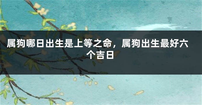 属狗哪日出生是上等之命，属狗出生最好六个吉日