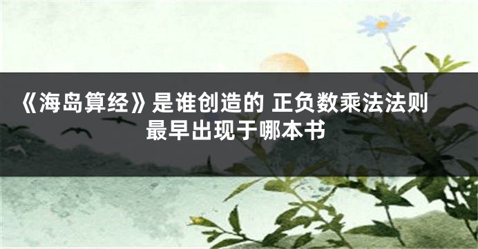 《海岛算经》是谁创造的 正负数乘法法则最早出现于哪本书